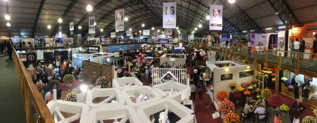 2016-10-05 19.14.01.jpg